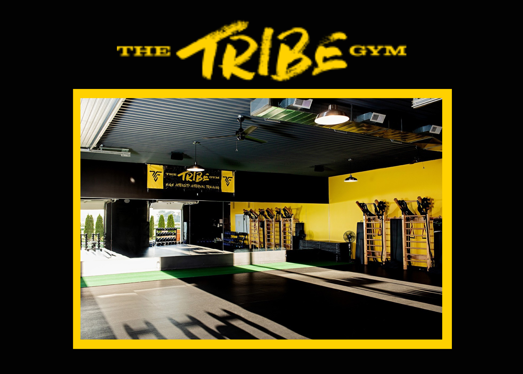 the tribe guy, black and yellow gym 